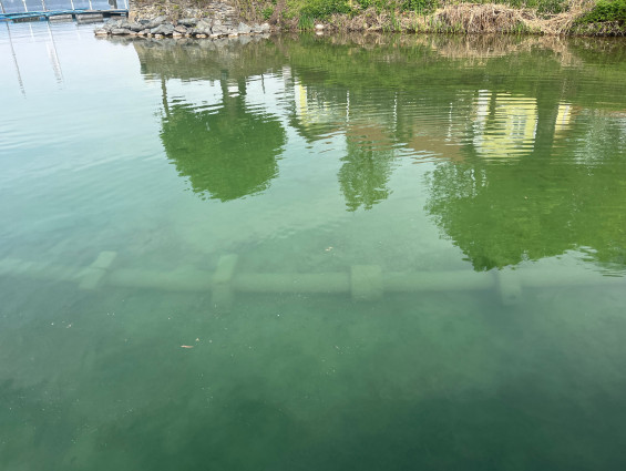 Seeleitung Maiernigg